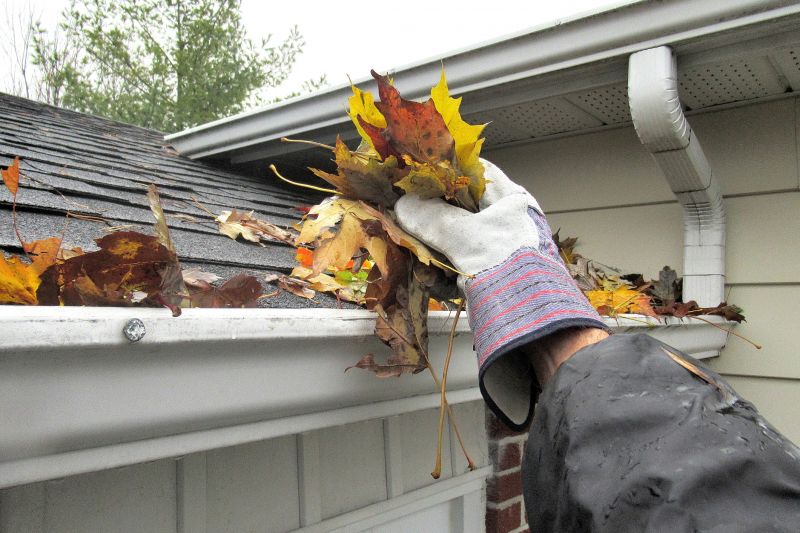 Gutter and Downspout Cleaning